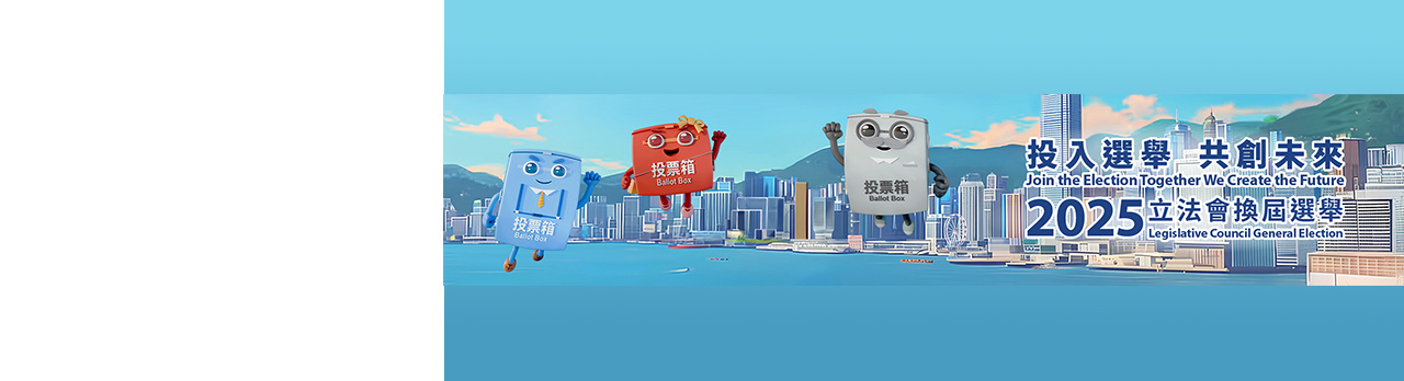 2025 Legislative Council General Election